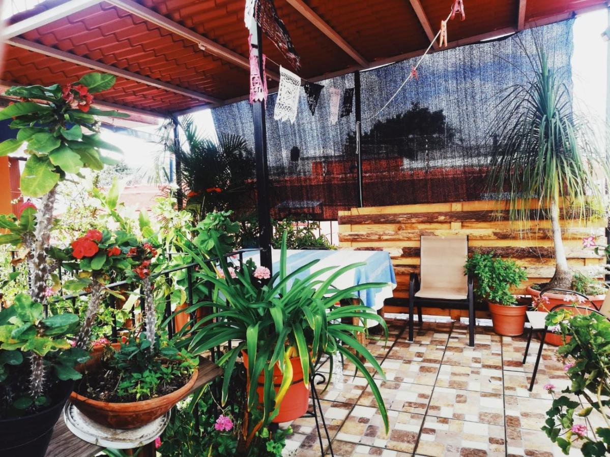 Отель El Rincon De Dona Bety Oaxaca Экстерьер фото